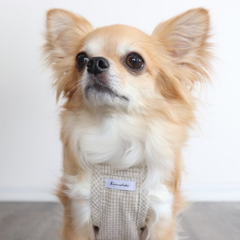 画像11: オールシーズン着られるキャミワンピース(ベージュギンガム) (11)