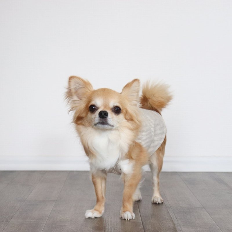 画像7: オールシーズン着られるキャミワンピース(ベージュギンガム) (7)