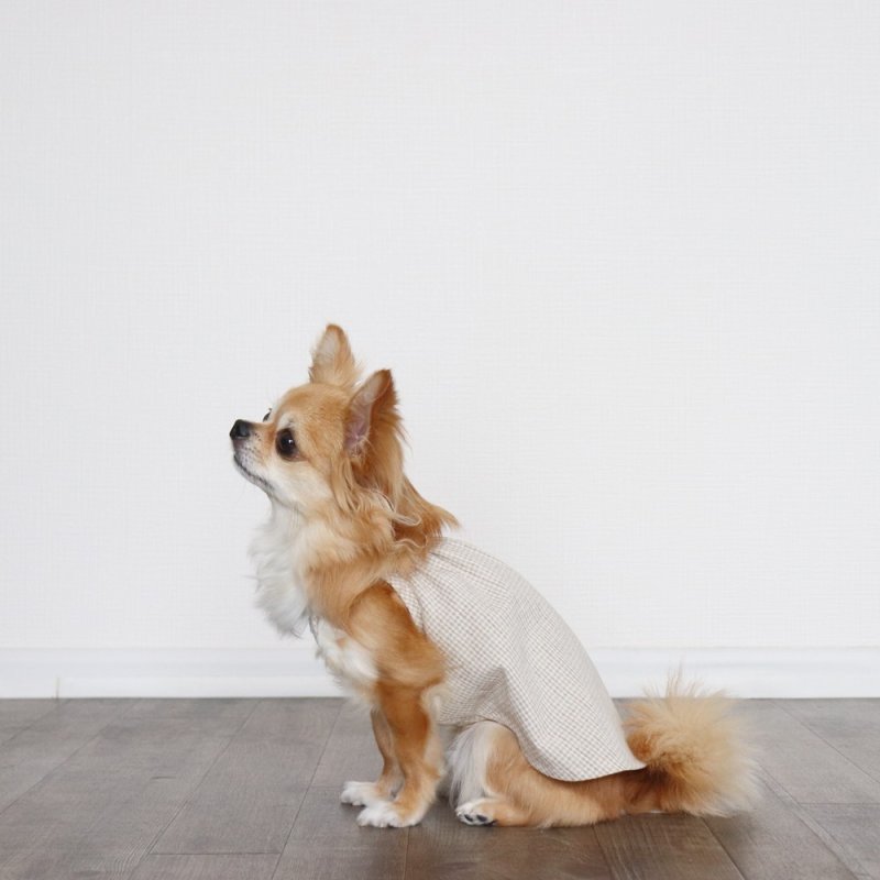 画像5: オールシーズン着られるキャミワンピース(ベージュギンガム) (5)