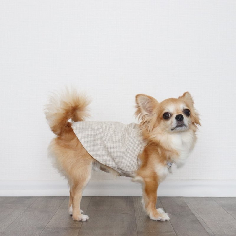 画像9: オールシーズン着られるキャミワンピース(ベージュギンガム) (9)