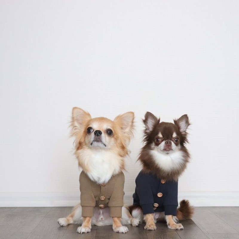 画像7: ミニ裏毛のカーディガン（モカ） (7)