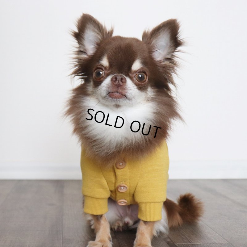 画像10: マルチスラブ裏毛のカーディガン（ミモザ） (10)