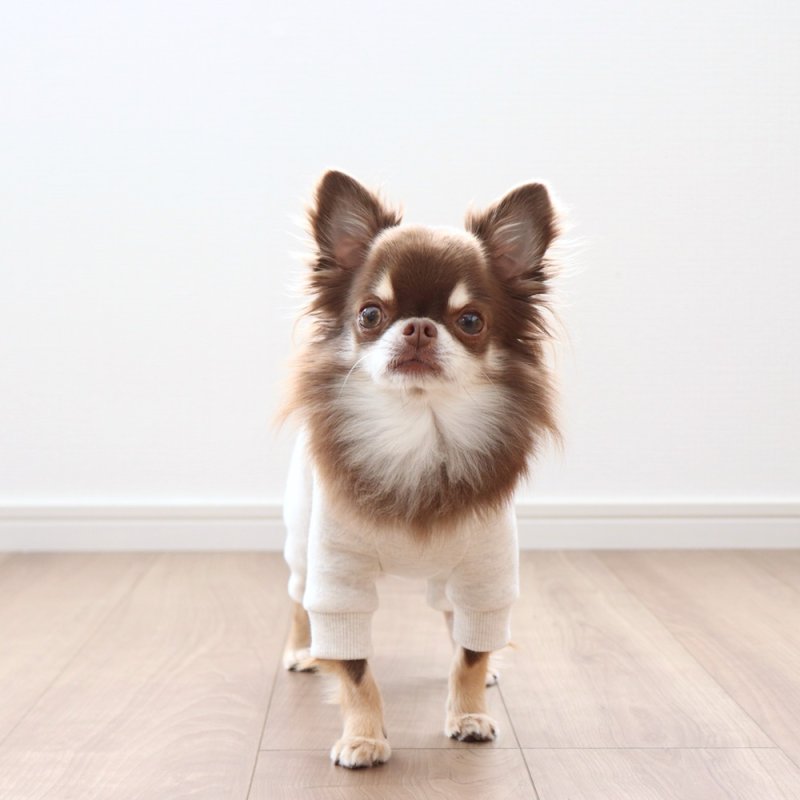 画像4: [完成品] スウェットロンパース（オートミール） (4)