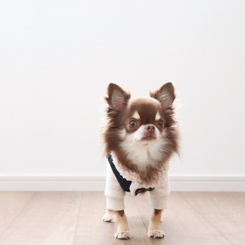 画像16: [完成品] スウェットロンパース（オートミール） (16)