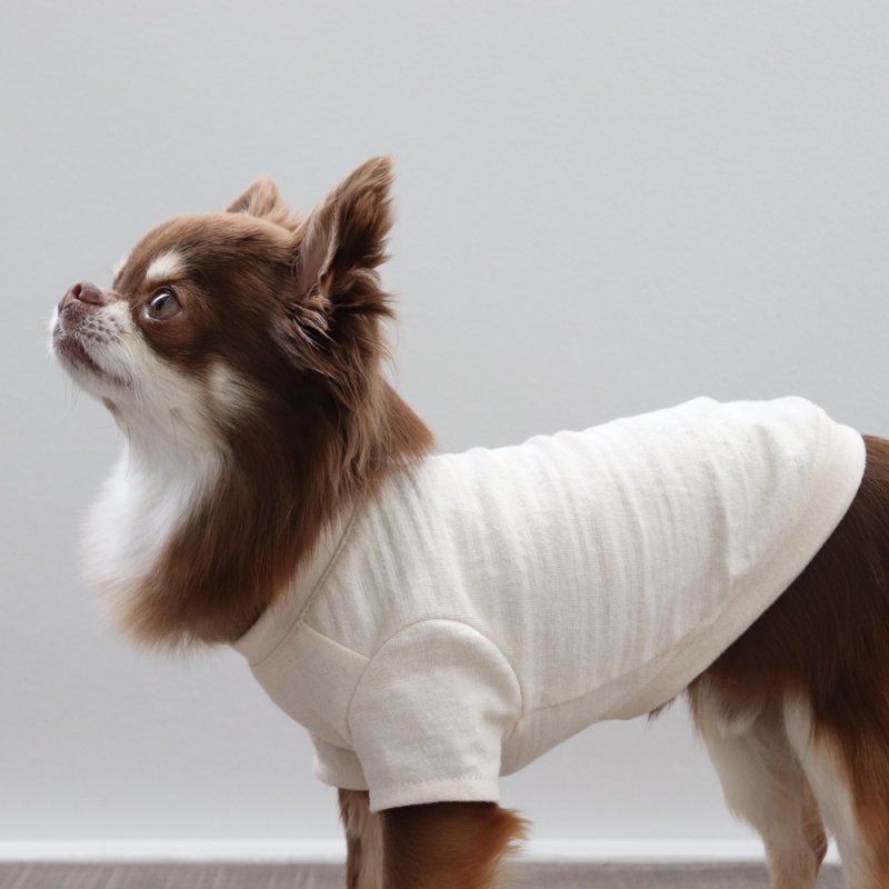 画像13: マルチスラブ生地のポケットつきTシャツ（生成り） (13)