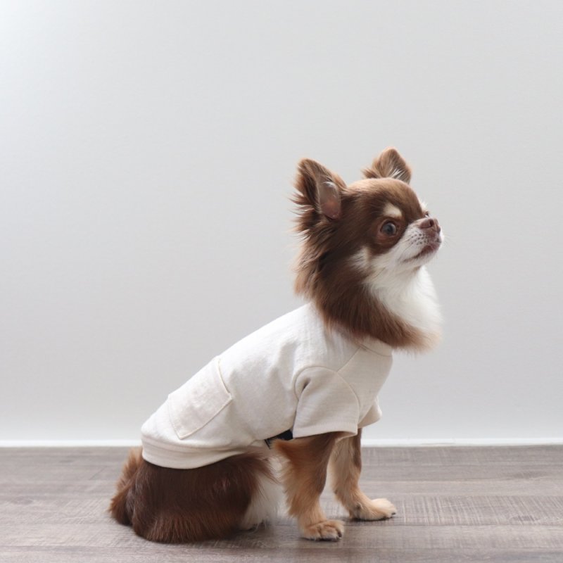 画像3: マルチスラブ生地のポケットつきTシャツ（生成り） (3)