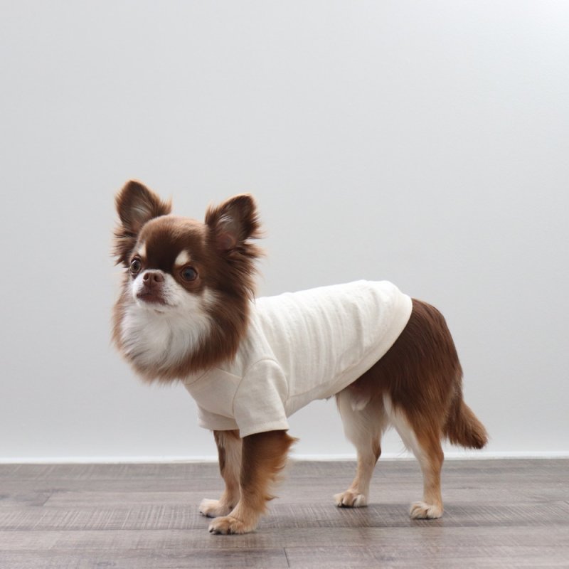 画像6: マルチスラブ生地のポケットつきTシャツ（生成り） (6)