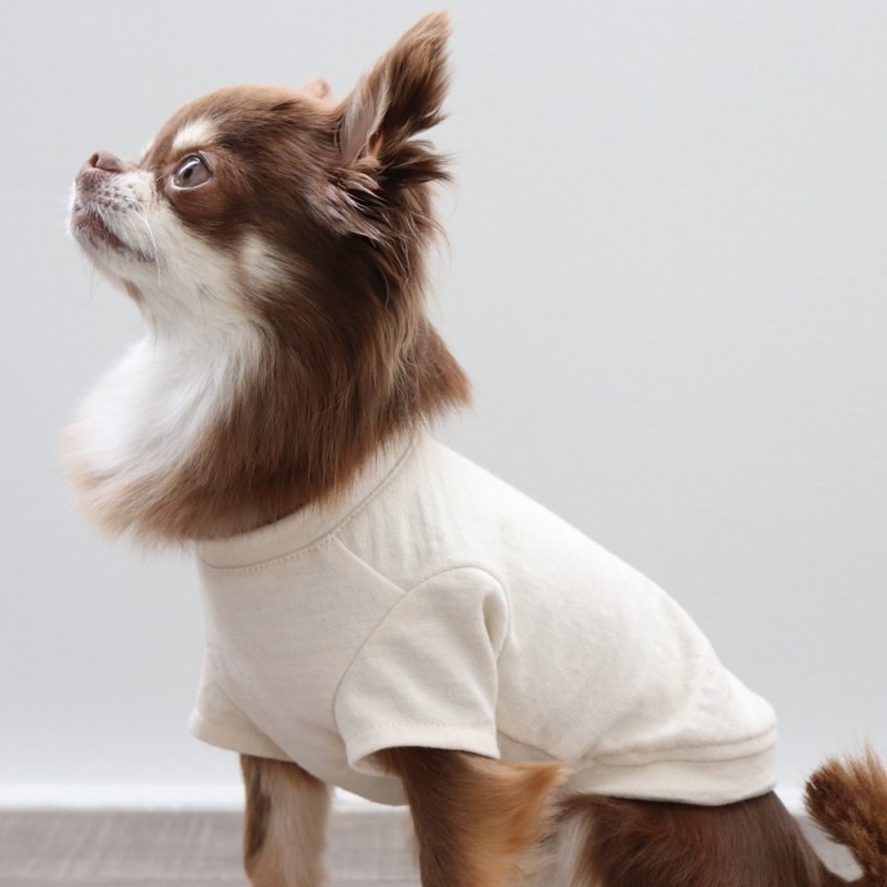 画像14: マルチスラブ生地のポケットつきTシャツ（生成り） (14)