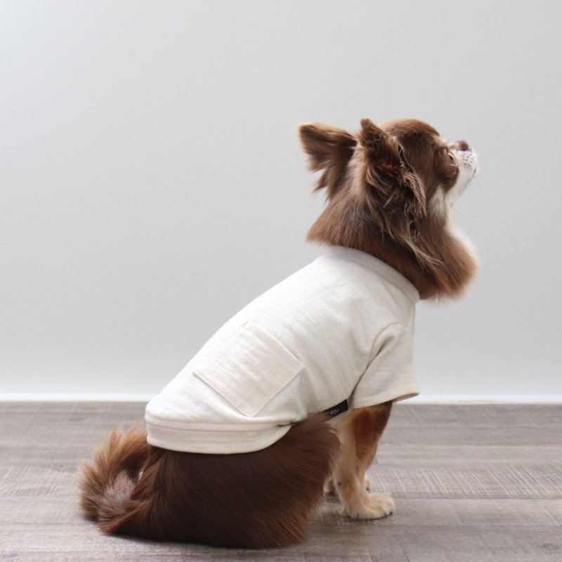 画像1: マルチスラブ生地のポケットつきTシャツ（生成り） (1)