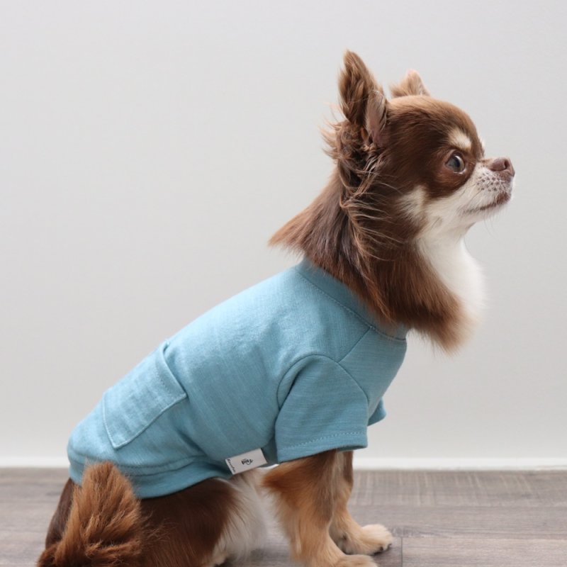 画像14: マルチスラブ生地のポケットつきTシャツ（スモークブルー） (14)