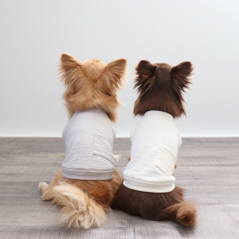 画像9: マルチスラブ生地のポケットつきTシャツ（生成り） (9)