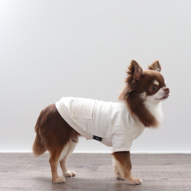 画像2: マルチスラブ生地のポケットつきTシャツ（生成り） (2)