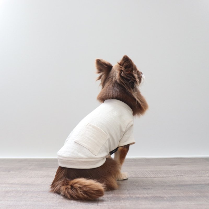 画像8: マルチスラブ生地のポケットつきTシャツ（生成り） (8)