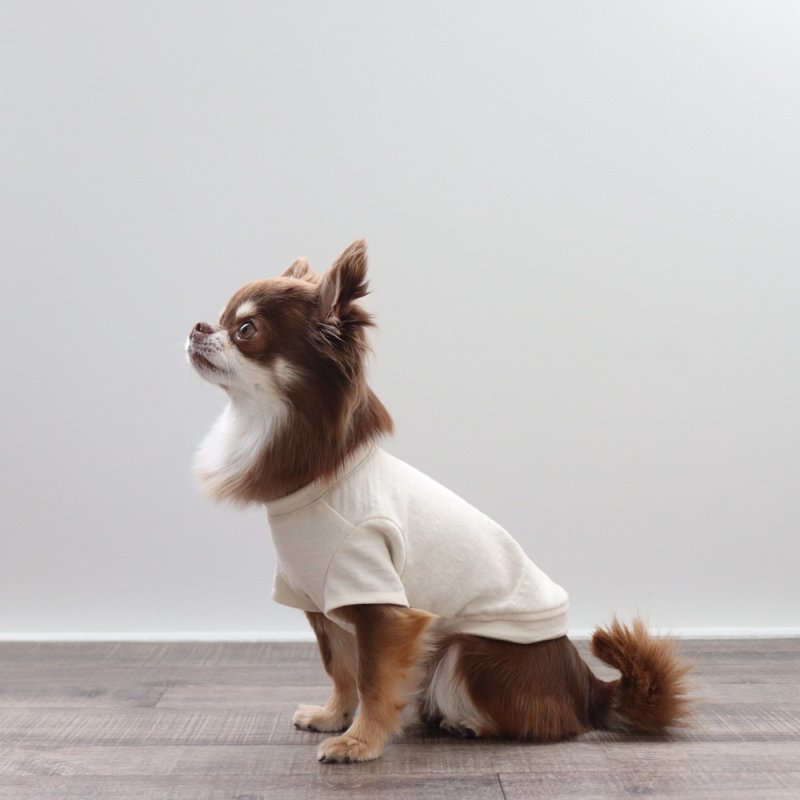 画像7: マルチスラブ生地のポケットつきTシャツ（生成り） (7)