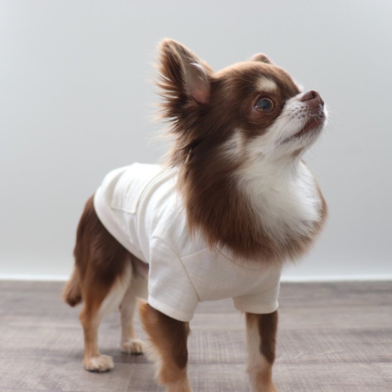 画像10: マルチスラブ生地のポケットつきTシャツ（生成り） (10)