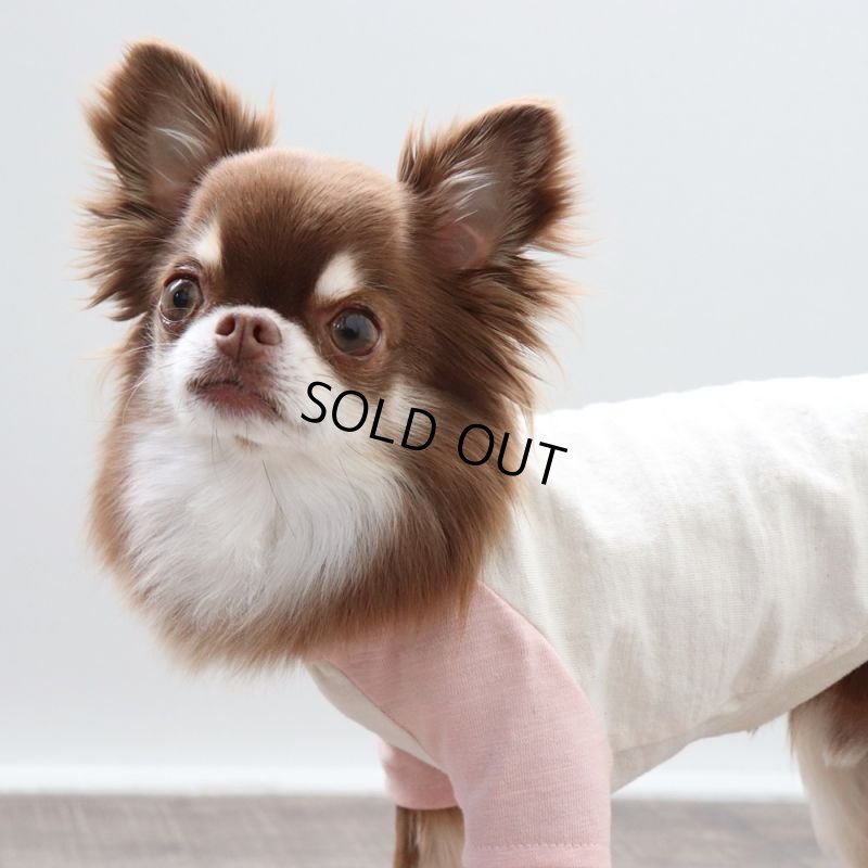 画像12: パステルカラーのラグランTシャツ(さくら×生成り) (12)