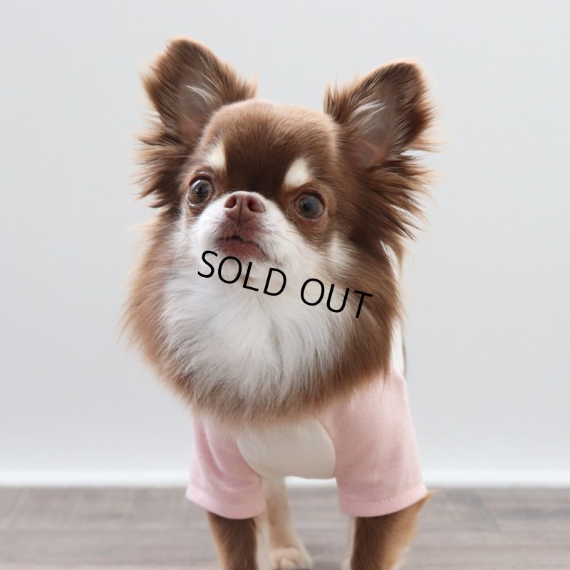 画像11: パステルカラーのラグランTシャツ(さくら×生成り) (11)