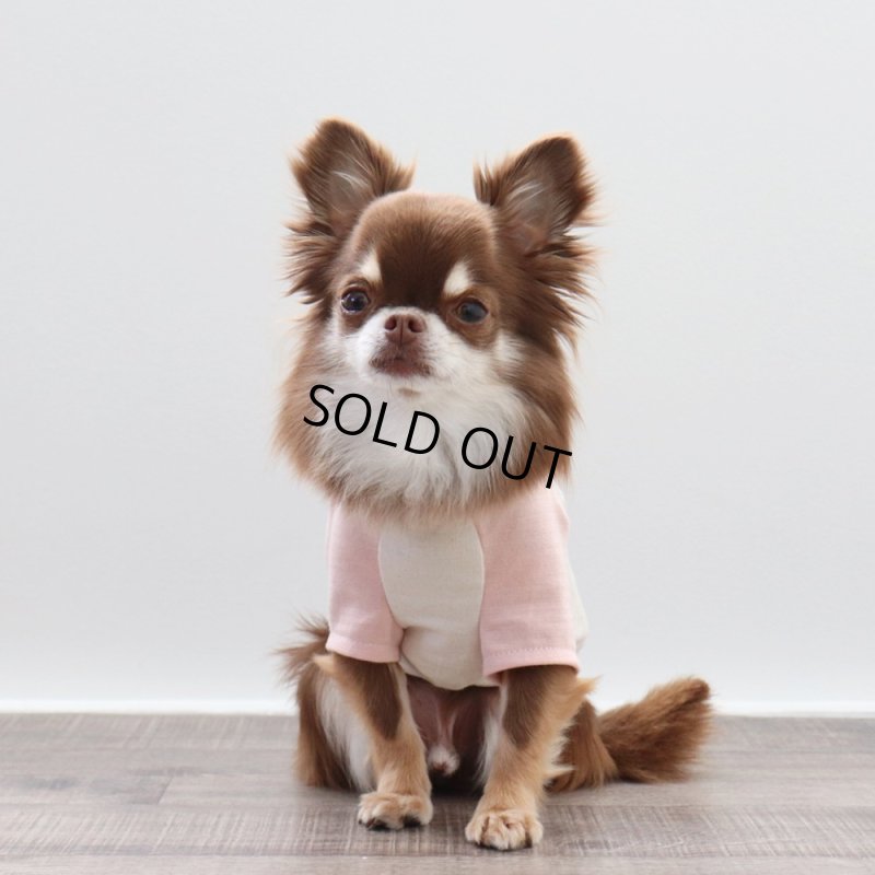 画像1: パステルカラーのラグランTシャツ(さくら×生成り) (1)