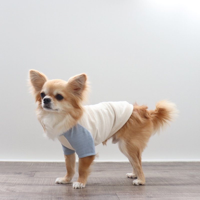 画像6: パステルカラーのラグランTシャツ（あおぞら×生成り） (6)