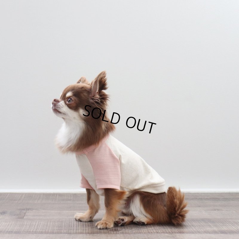 画像5: パステルカラーのラグランTシャツ(さくら×生成り) (5)