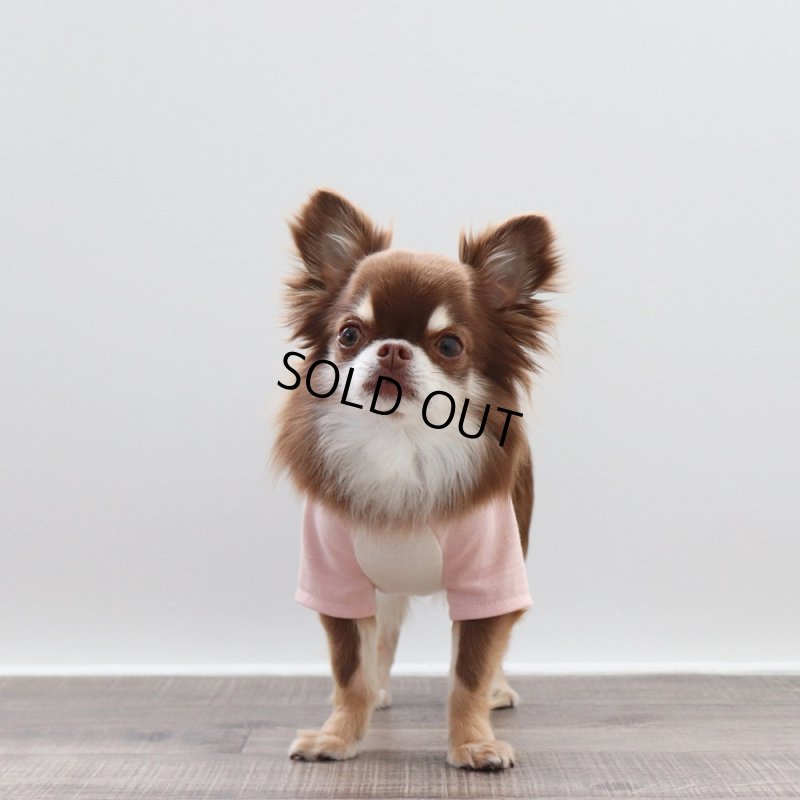 画像2: パステルカラーのラグランTシャツ(さくら×生成り) (2)