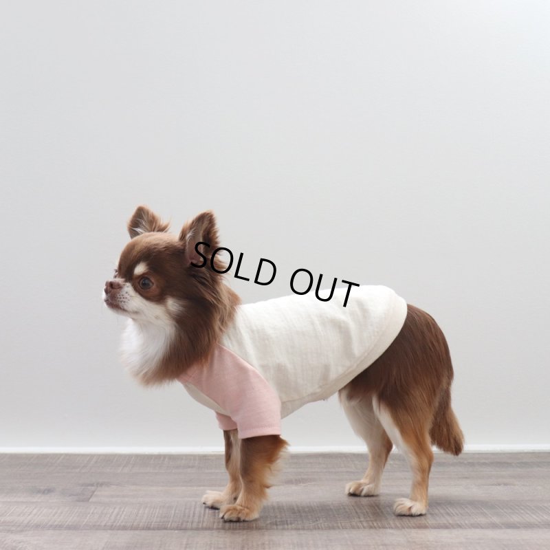 画像7: パステルカラーのラグランTシャツ(さくら×生成り) (7)