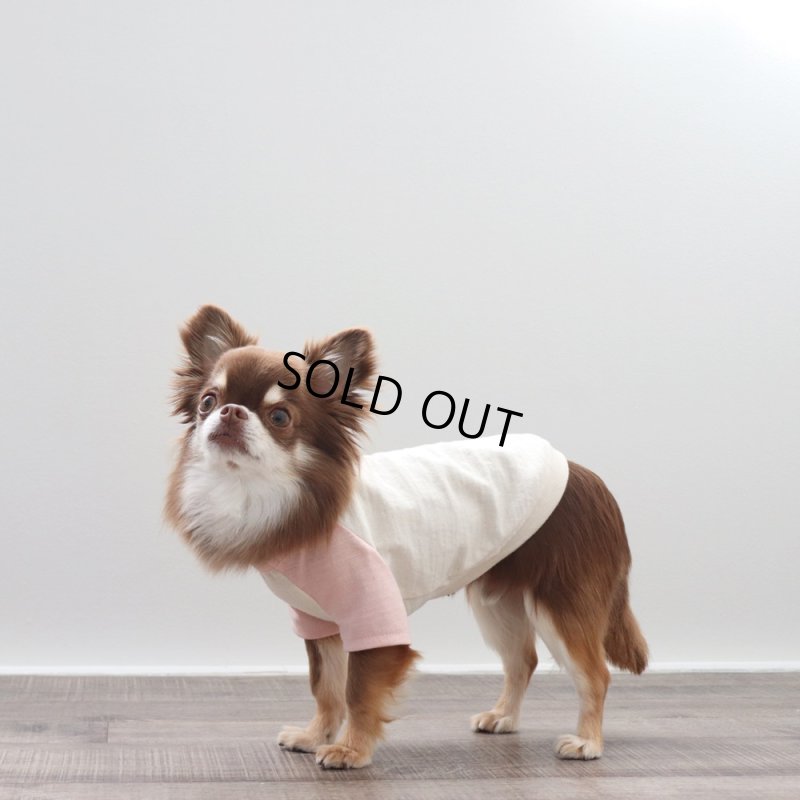 画像6: パステルカラーのラグランTシャツ(さくら×生成り) (6)