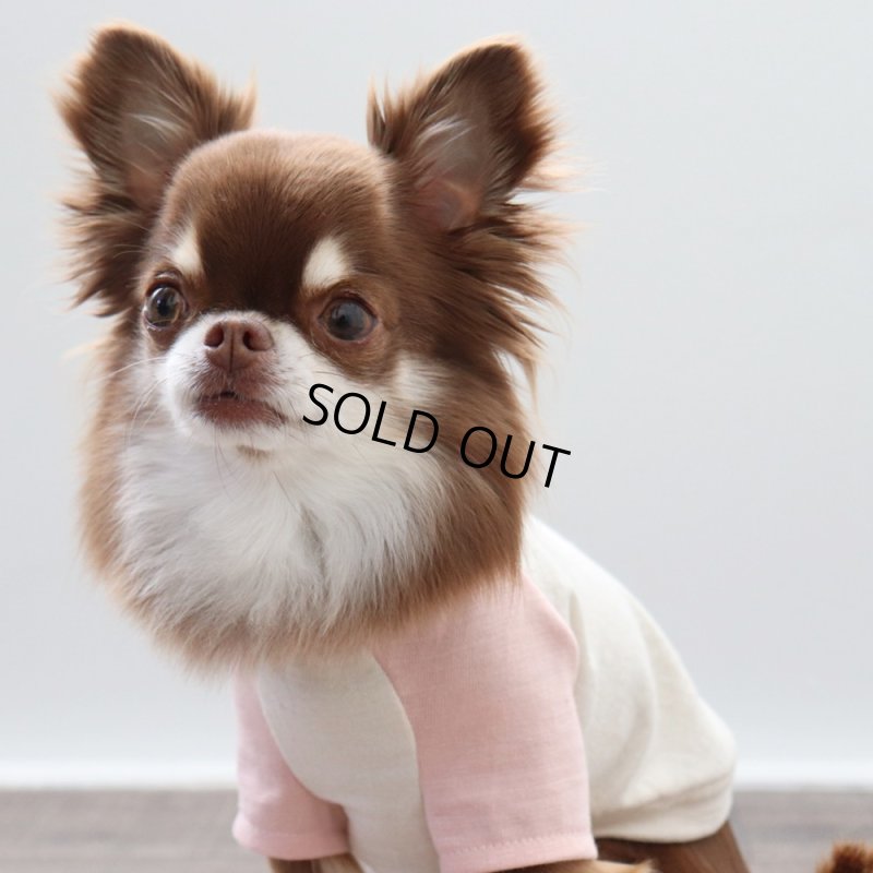 画像10: パステルカラーのラグランTシャツ(さくら×生成り) (10)