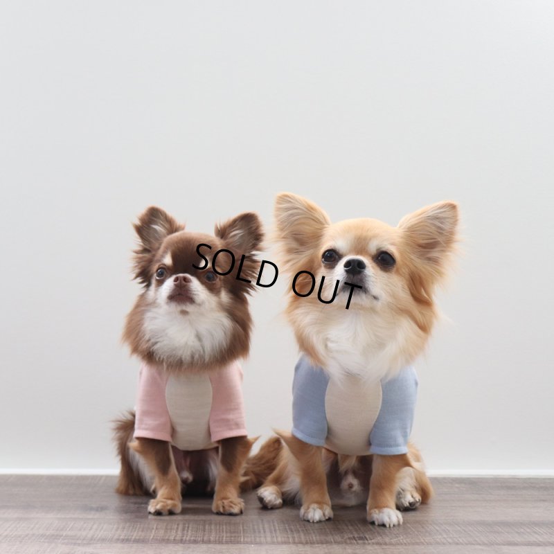 画像13: パステルカラーのラグランTシャツ(さくら×生成り) (13)