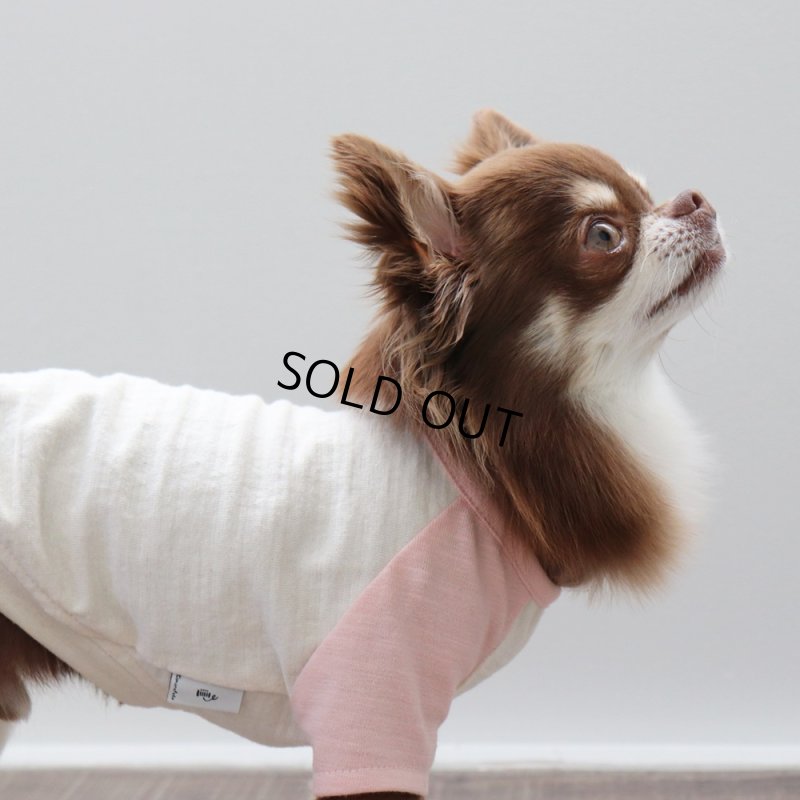 画像9: パステルカラーのラグランTシャツ(さくら×生成り) (9)