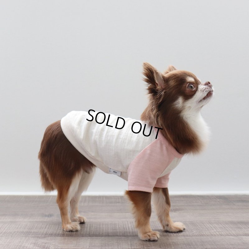 画像4: パステルカラーのラグランTシャツ(さくら×生成り) (4)