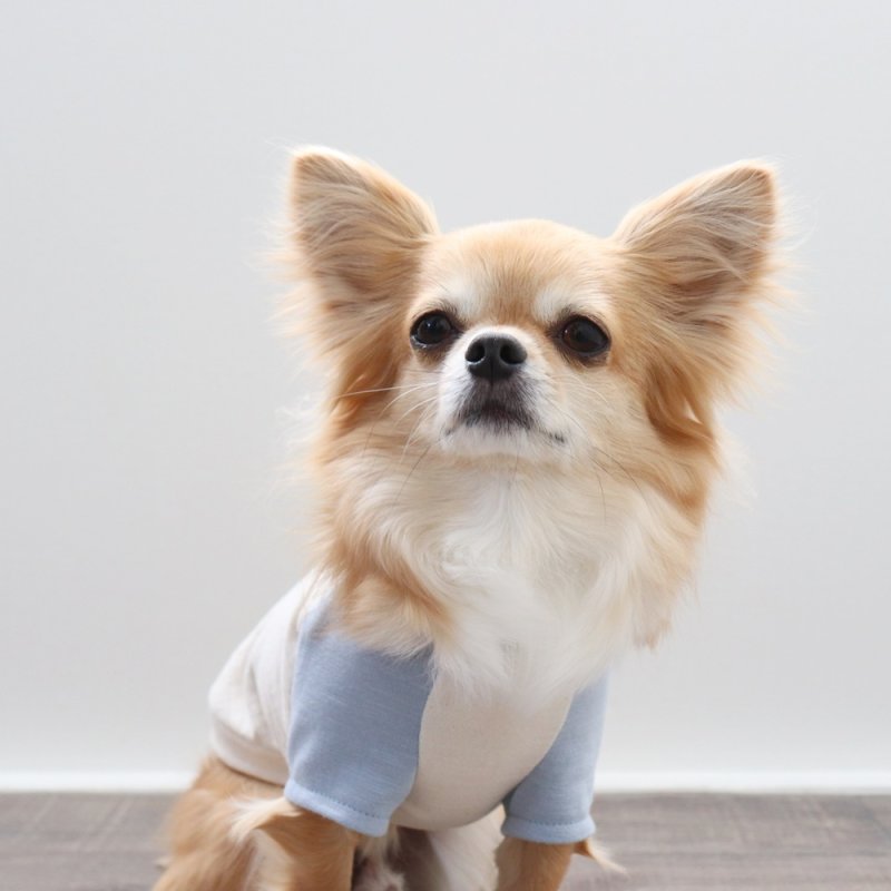 画像9: パステルカラーのラグランTシャツ（あおぞら×生成り） (9)