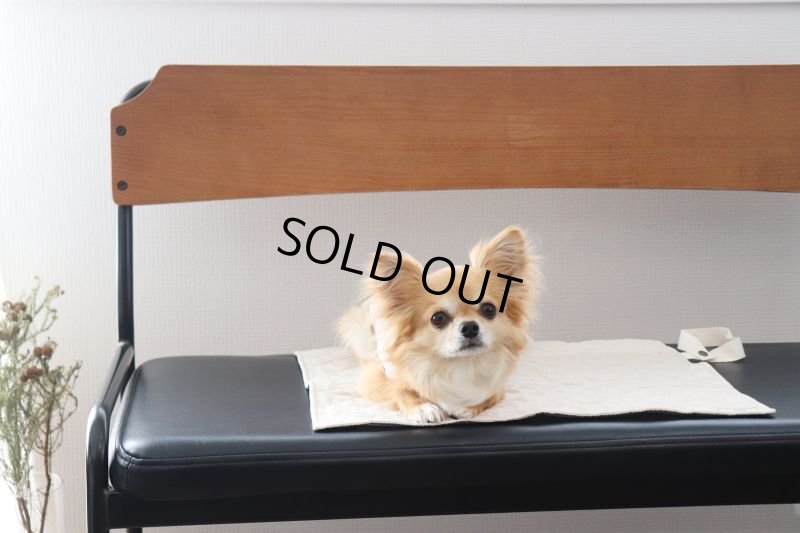 画像2: 色々選べるリバーシブルカフェマット　刺繍入り　(キルト×ひんやり生地) (2)