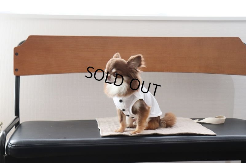 画像5: 色々選べるリバーシブルカフェマット　刺繍入り　(キルト×ひんやり生地) (5)