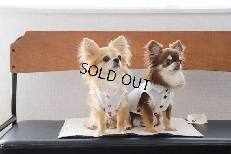 画像3: 色々選べるリバーシブルカフェマット　刺繍入り　(キルト×ひんやり生地) (3)