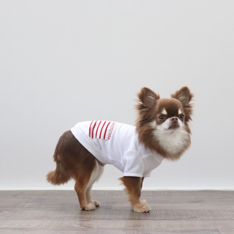 画像9: ボーダポケットつきTシャツ（ホワイト） (9)