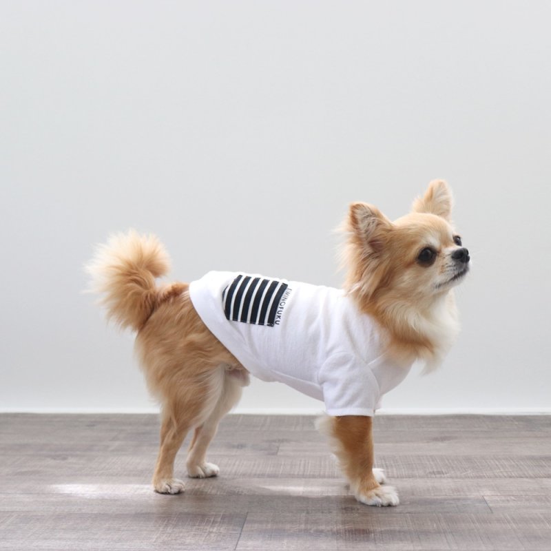 画像2: ボーダポケットつきTシャツ（ホワイト） (2)