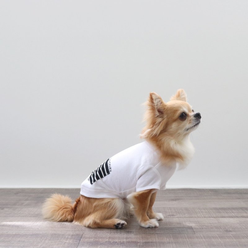 画像3: ボーダポケットつきTシャツ（ホワイト） (3)