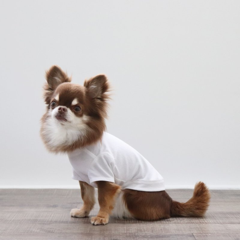 画像11: ボーダポケットつきTシャツ（ホワイト） (11)