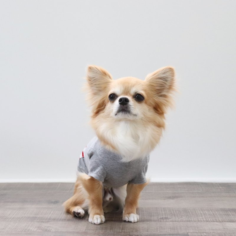 画像12: 蚊よけ生地のTシャツ（ボーダーポケット×グレー） (12)