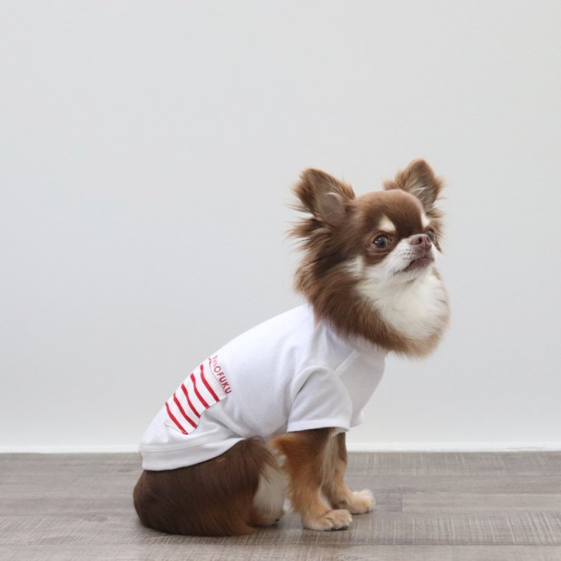 画像10: ボーダポケットつきTシャツ（ホワイト） (10)