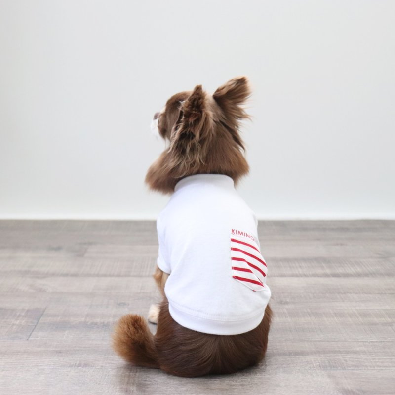 画像13: ボーダポケットつきTシャツ（ホワイト） (13)