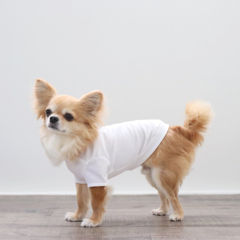 画像4: ボーダポケットつきTシャツ（ホワイト） (4)