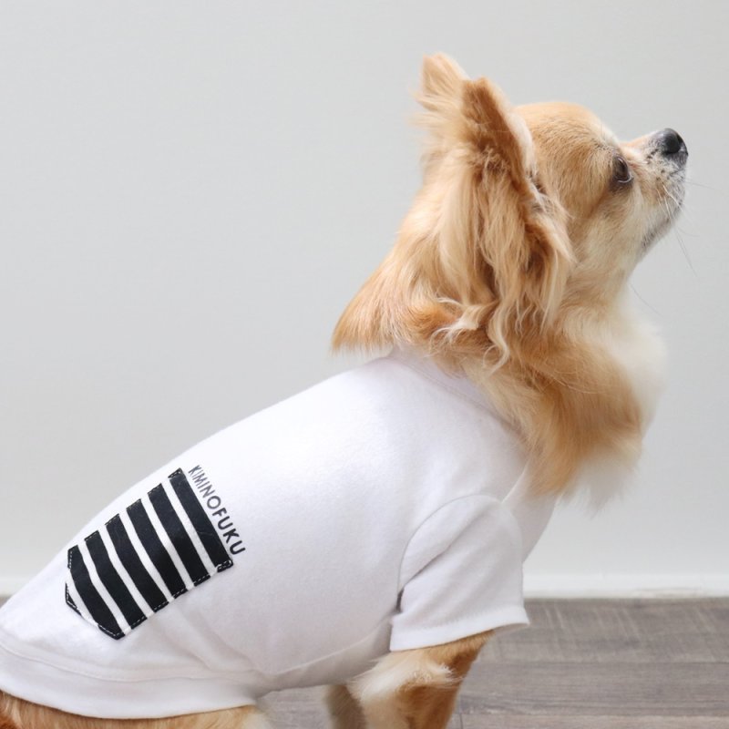 画像8: ボーダポケットつきTシャツ（ホワイト） (8)