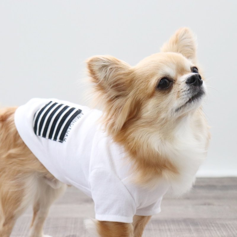 画像7: ボーダポケットつきTシャツ（ホワイト） (7)