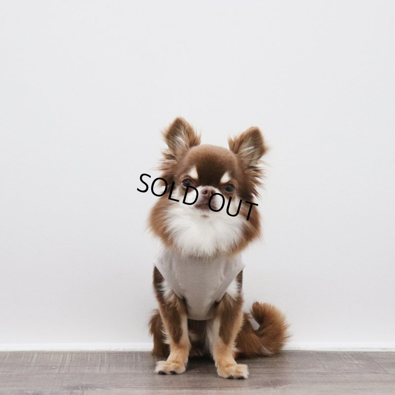 画像4: マルチスラブ生地のタンクトップ（グレージュ） (4)