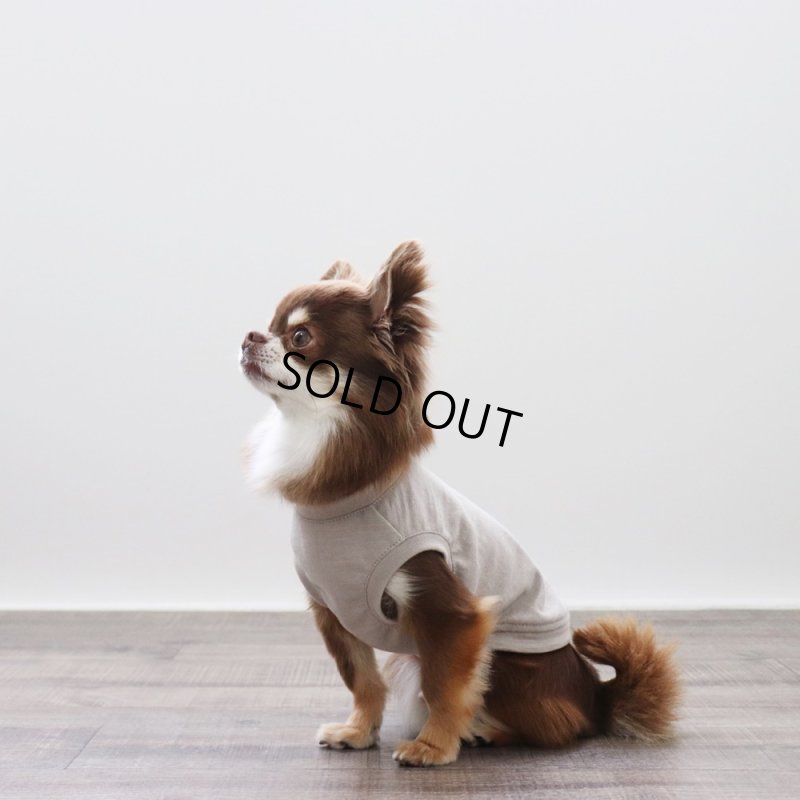 画像6: マルチスラブ生地のタンクトップ（グレージュ） (6)