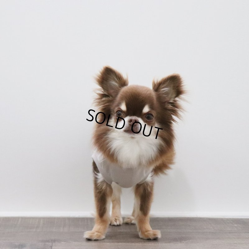 画像3: マルチスラブ生地のタンクトップ（グレージュ） (3)