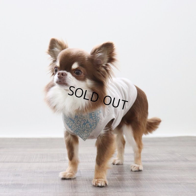 画像10: マルチスラブ生地のタンクトップ（グレージュ） (10)