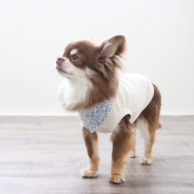 画像2: 保冷剤ポケットつきのバンダナ(ペイズリーサックス) (2)